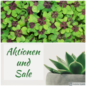 Aktionen/Sale